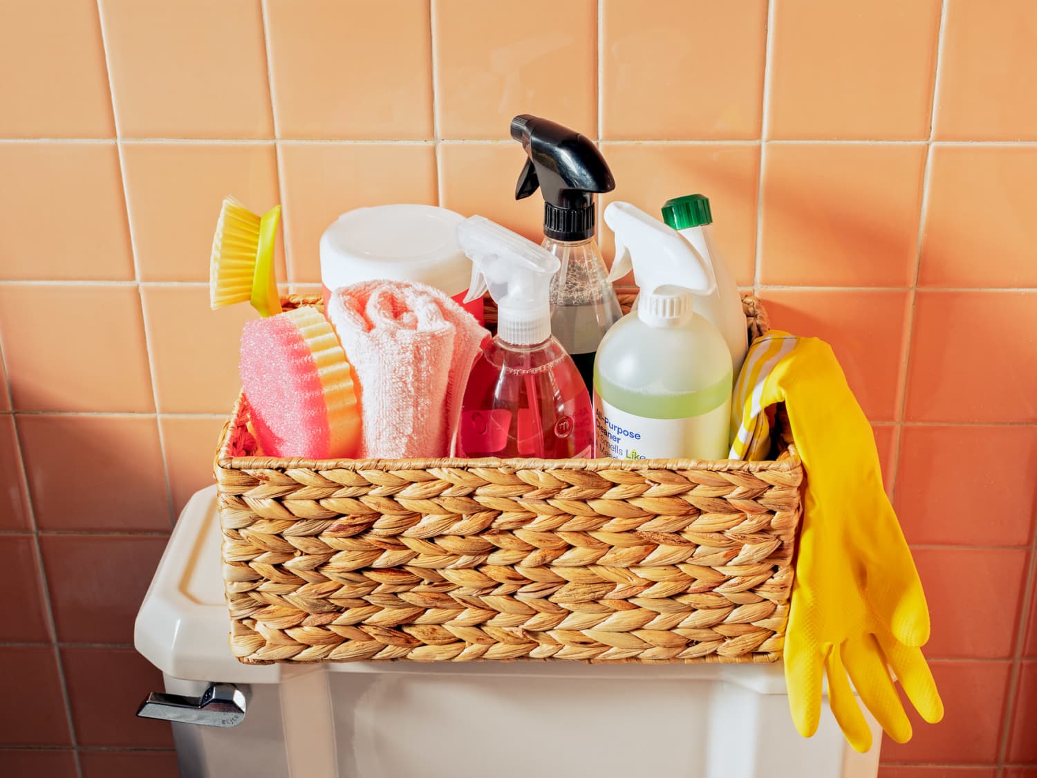 Supplies for cleaning sale bathroom